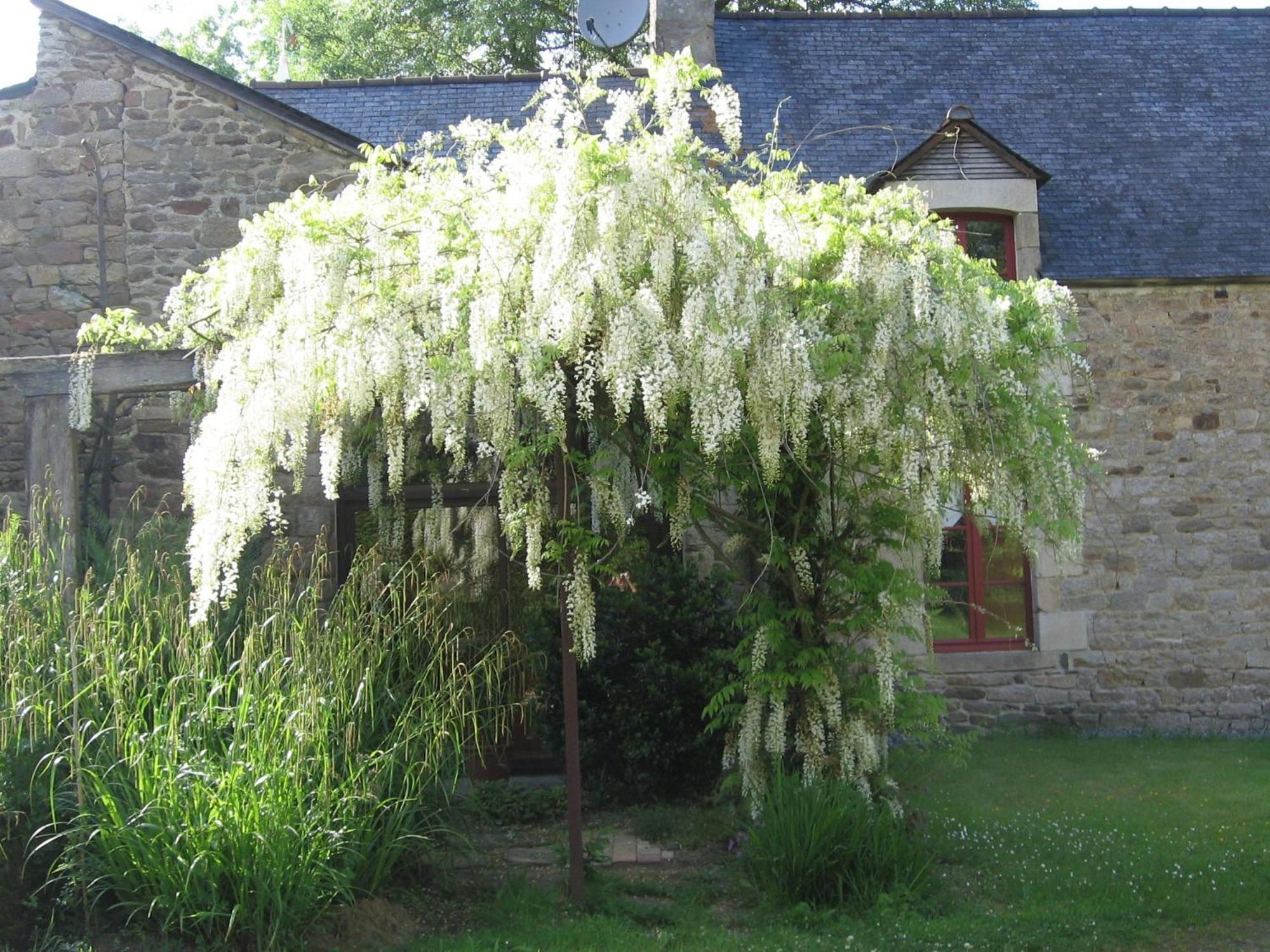 La Guyonnais Bed and Breakfast Quévert Eksteriør billede